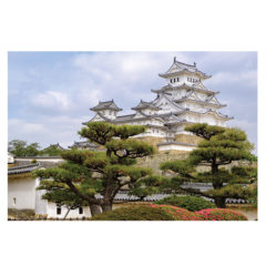 新商品　ポストカード 【姫路城】 のご案内