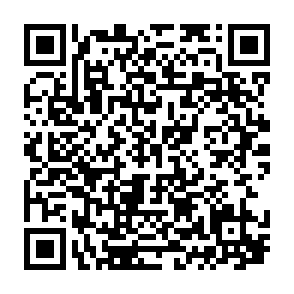 QRたぬきのもり、メルカリカレンダー2022