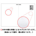 ポストカード　松本城