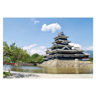 ポストカード 【訳あり】 松本城　国宝